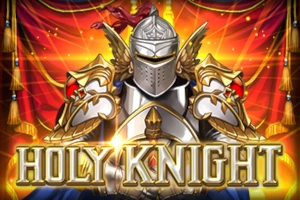 00017 holy knight