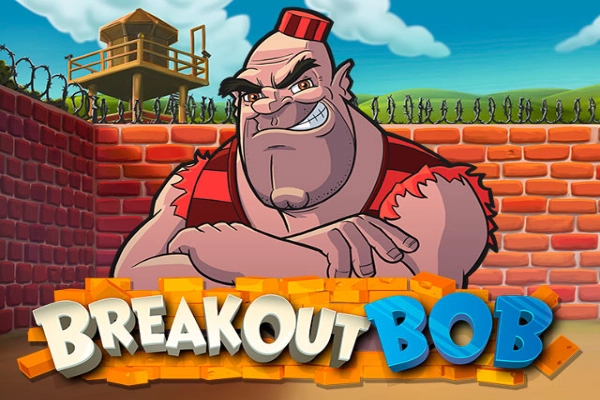 17110 breakout bob